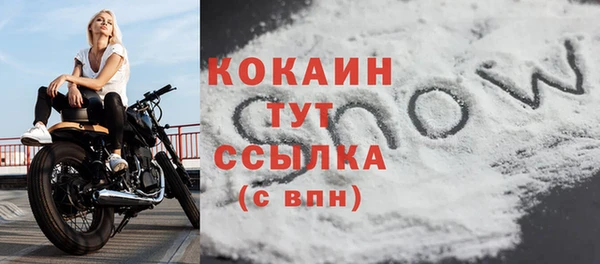 круглые Абаза