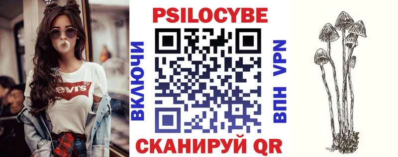 Галлюциногенные грибы Magic Shrooms  сколько стоит  blacksprut зеркало  Темников 
